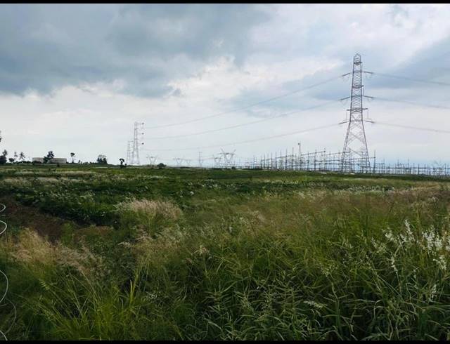 FARM FOR SALE IN BLUE HILLS